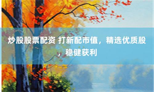 炒股股票配资 打新配市值，精选优质股，稳健获利