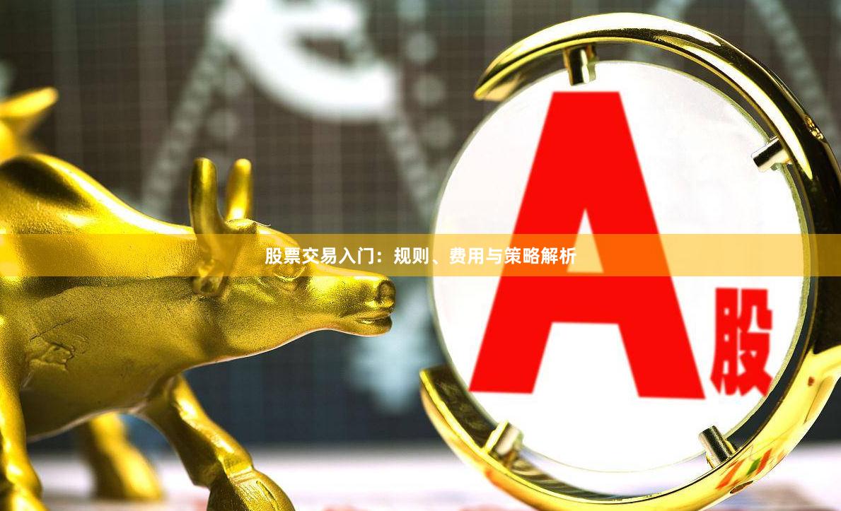 股票交易入门:规则、费用与策略解析